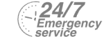 24/7 Emergency Service Pest Control in Mile End, Stepney, E1. Call Now! 020 8166 9746