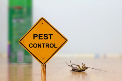 Pest Contol in Mile End, Stepney, E1. Call Now 020 8166 9746